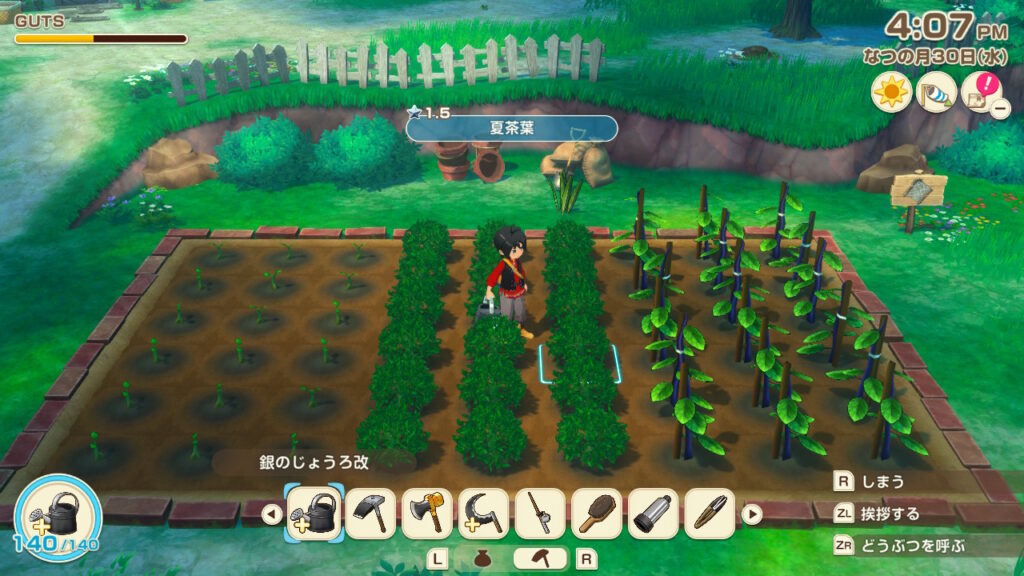 サイズ固定の畑