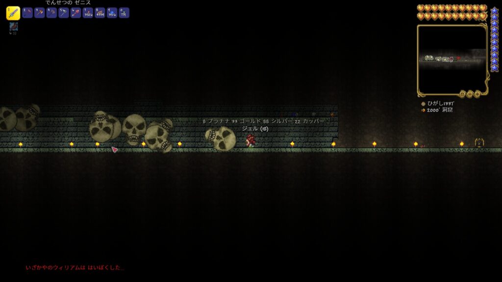 テラリア ダンジョンガーディアン